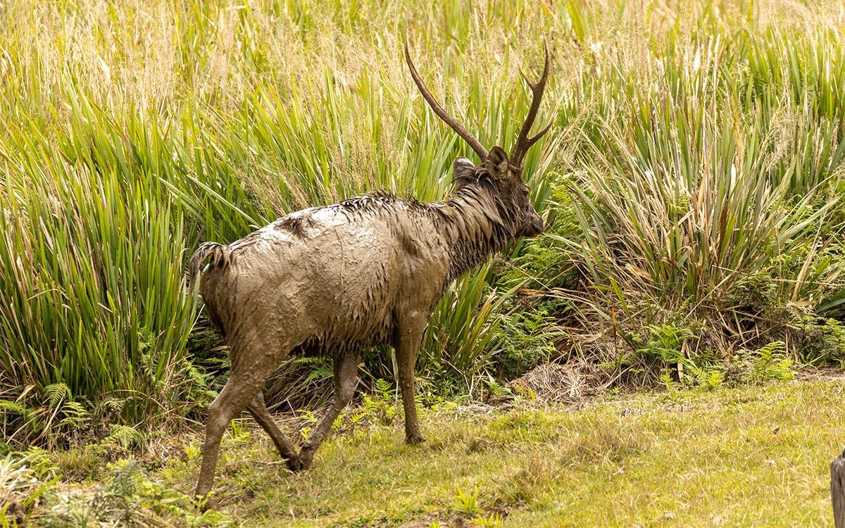 mysteries-of-horton-plains