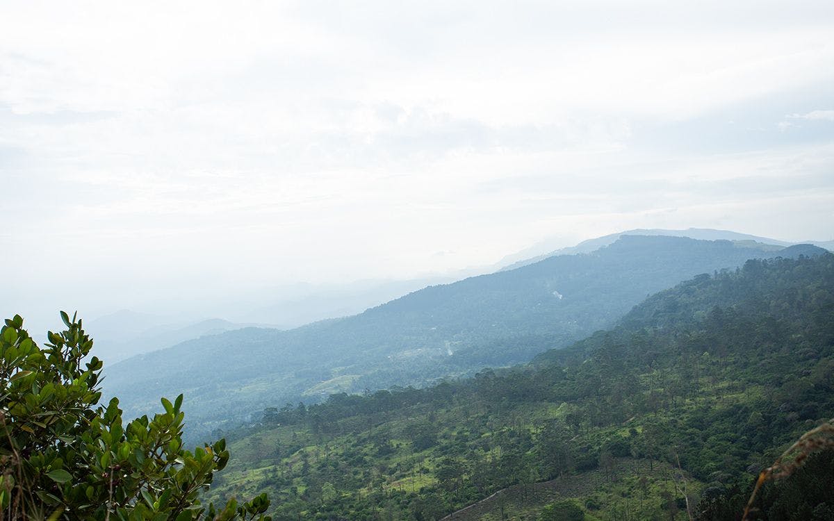 exploring-hanthana-mountains-with-johann-peries