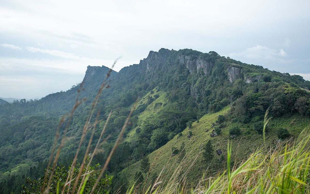 exploring-hanthana-mountains-with-johann-peries