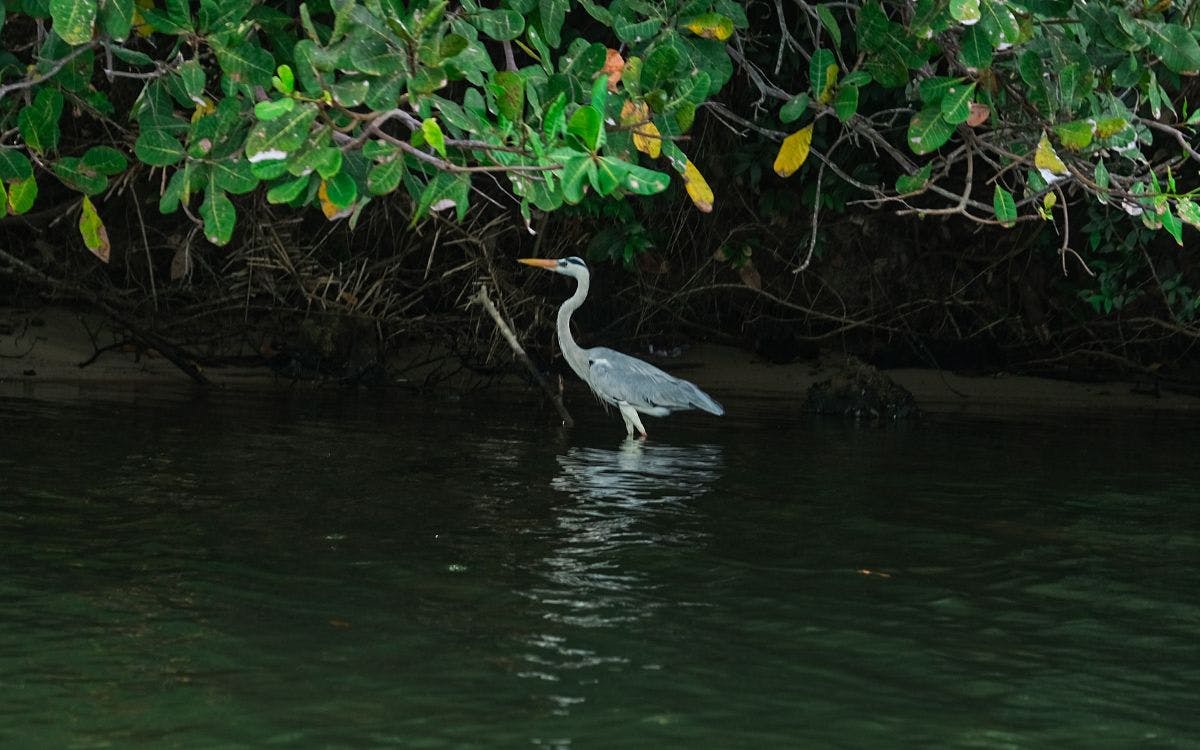 Island hopping on Koggala Lake