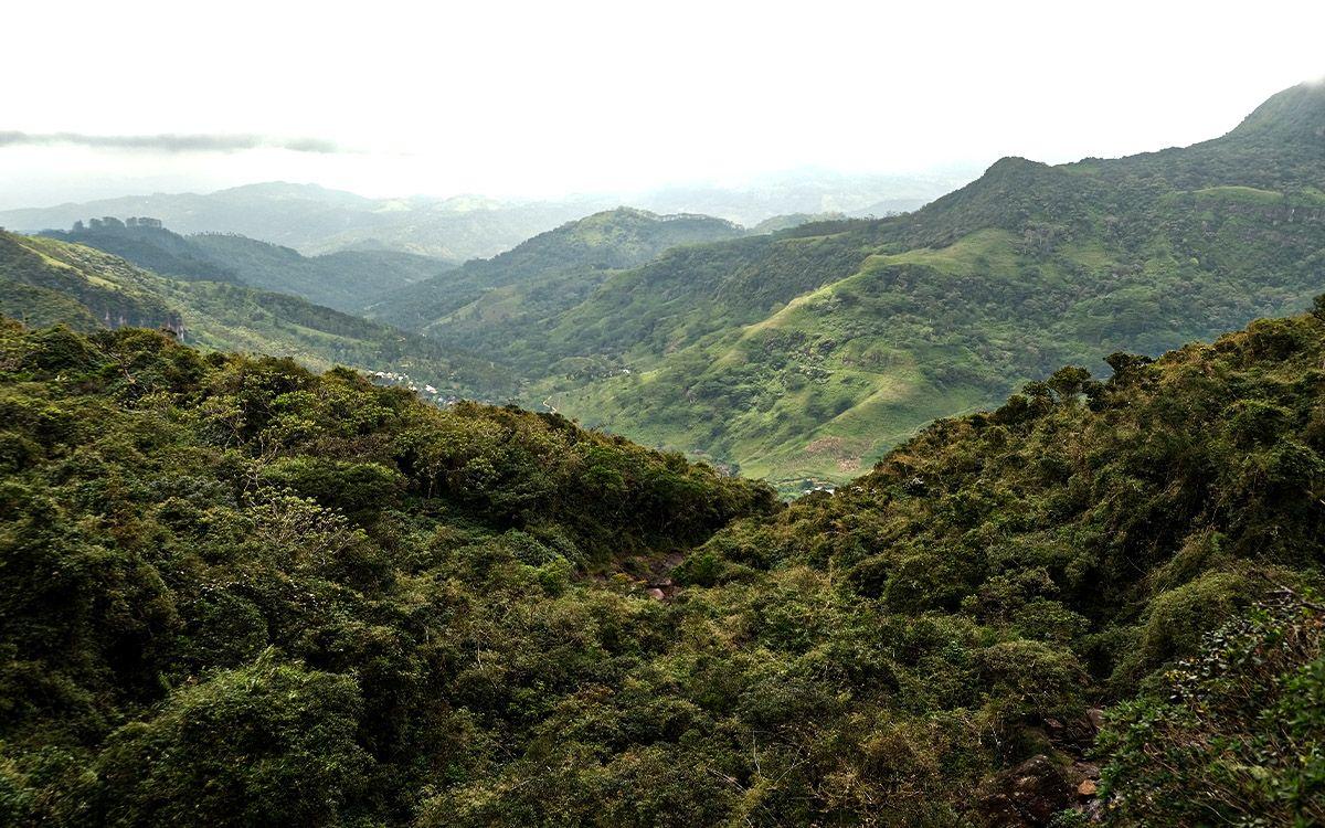 Knuckles Mountain Range