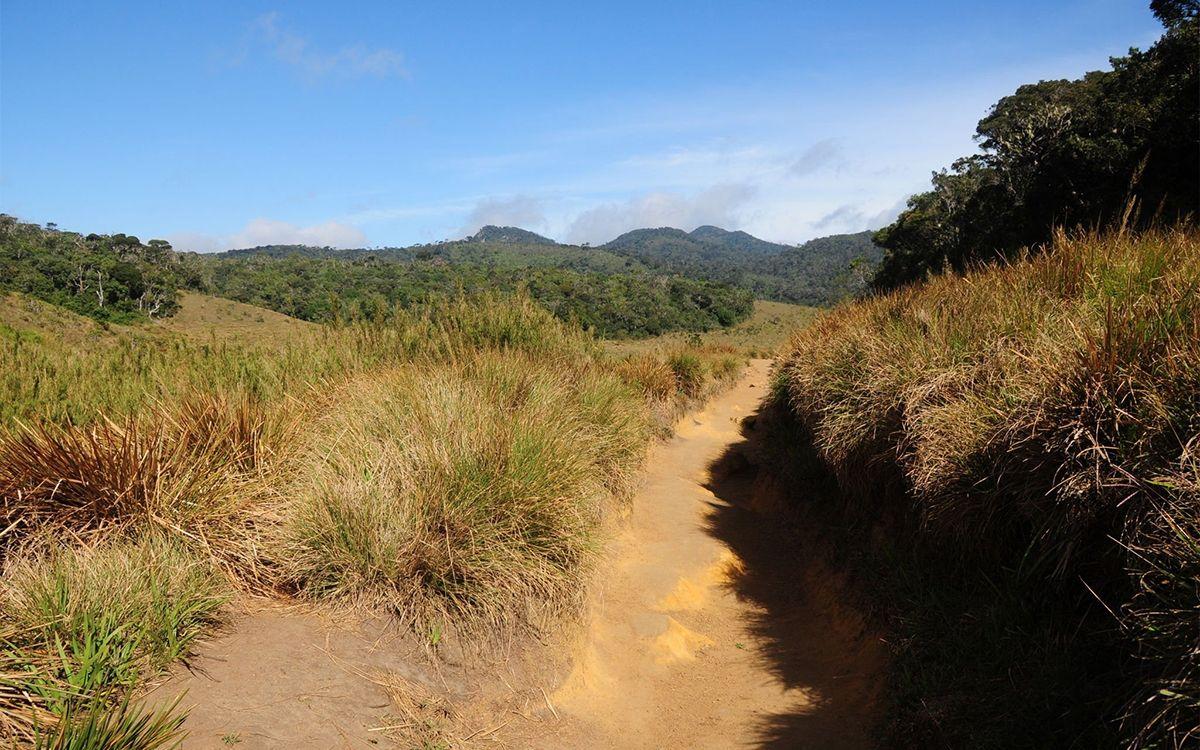 mysteries-of-horton-plains