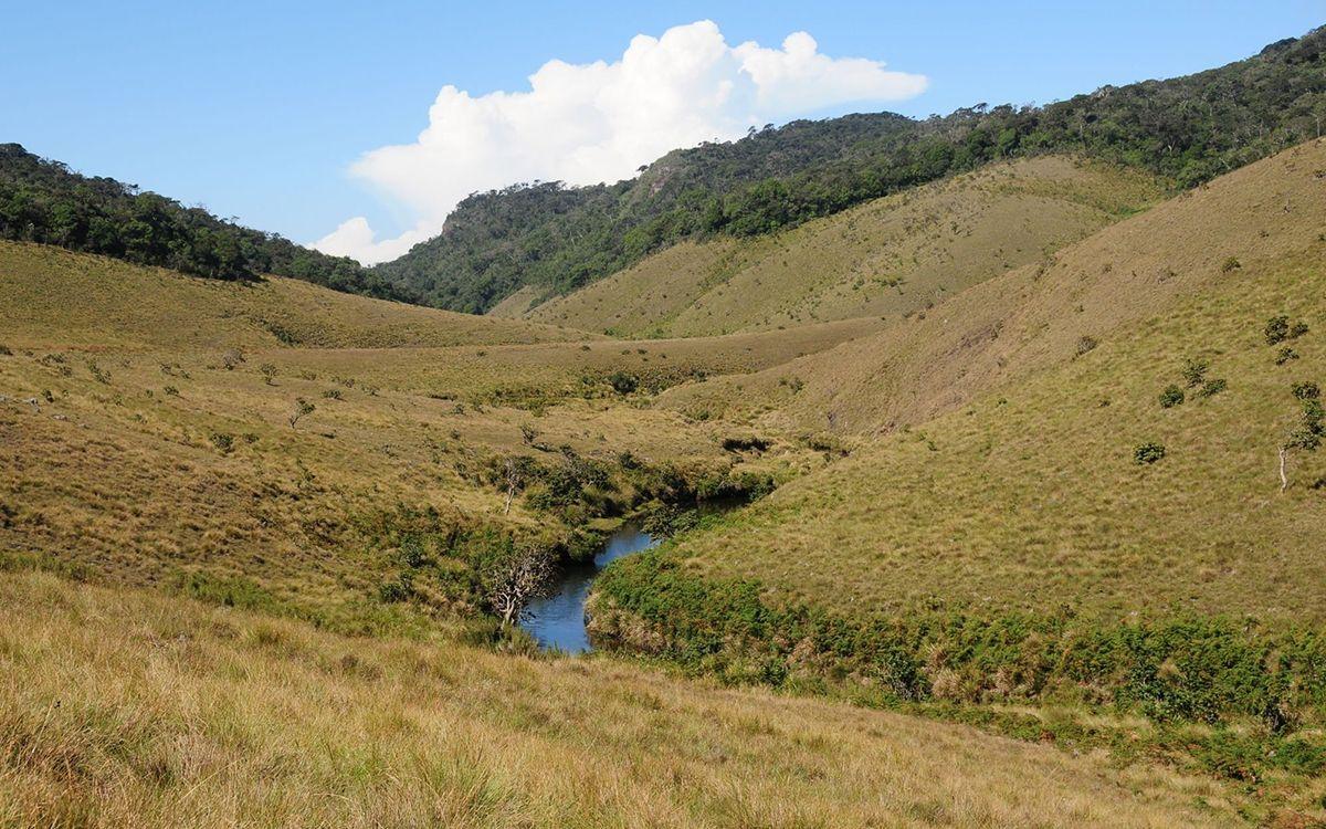 mysteries-of-horton-plains