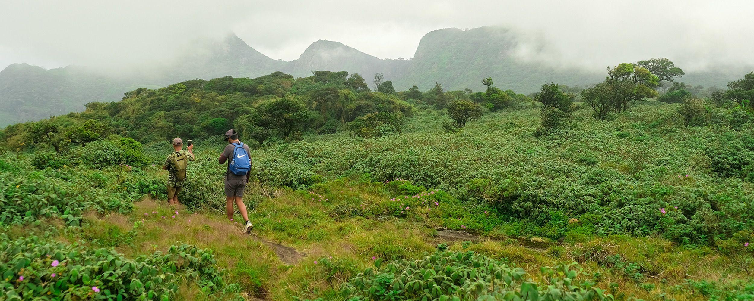 The trails through the island’s mountains