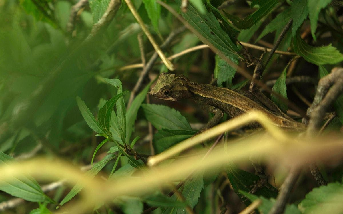 Galway's Land National Park