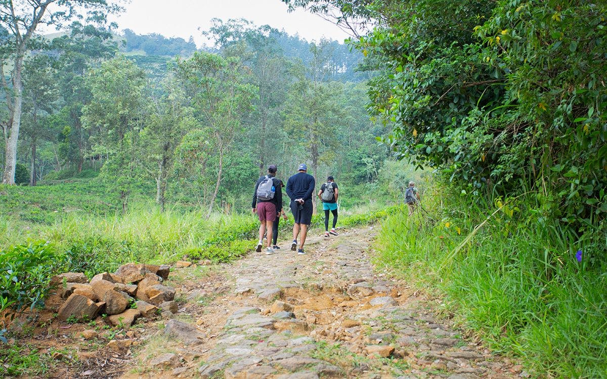 exploring-hanthana-mountains-with-johann-peries