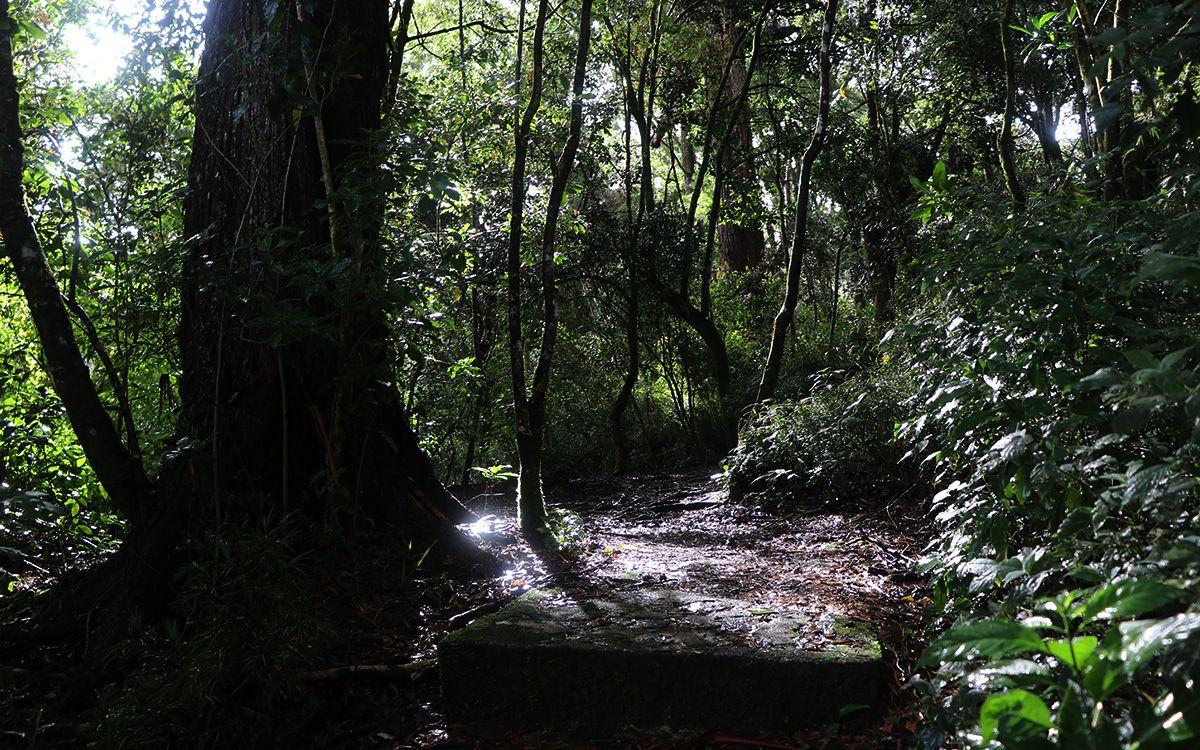 Galway's Land National Park