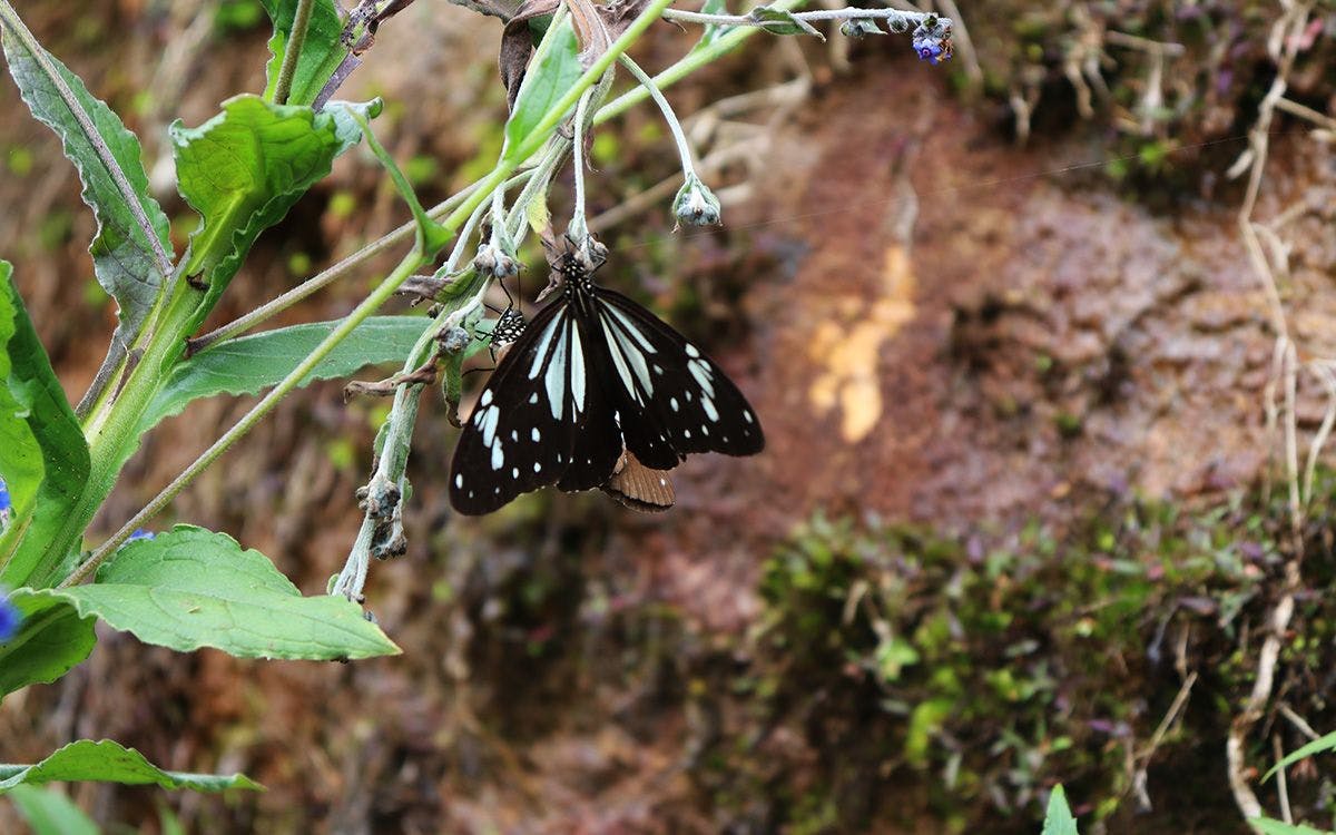 Galway's Land National Park