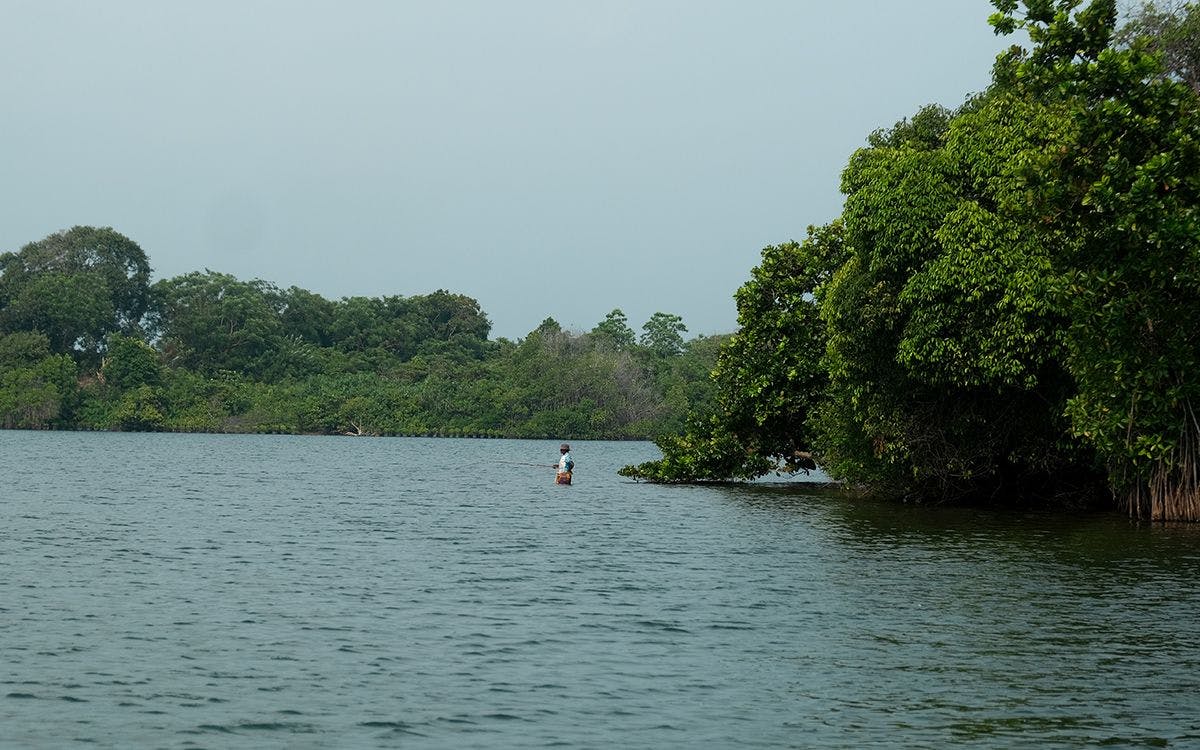 Island hopping on Koggala Lake