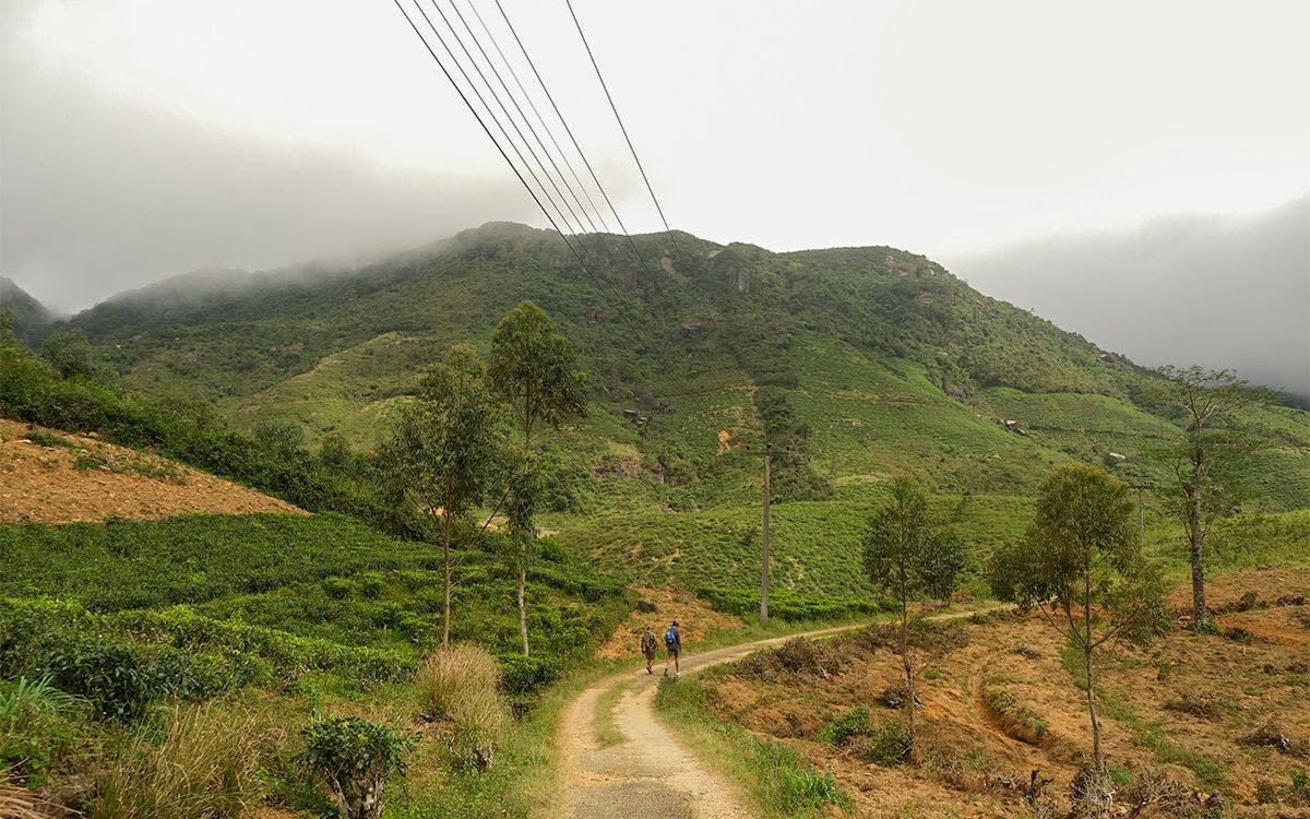 The trails through the island’s mountains