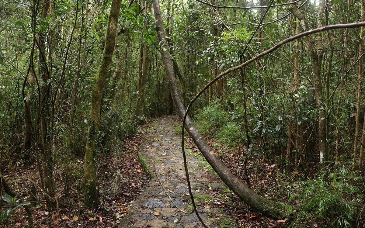 The trails through the island’s mountains