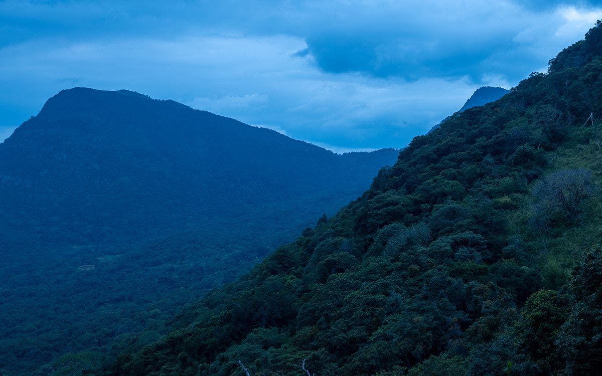 mysteries-of-horton-plains