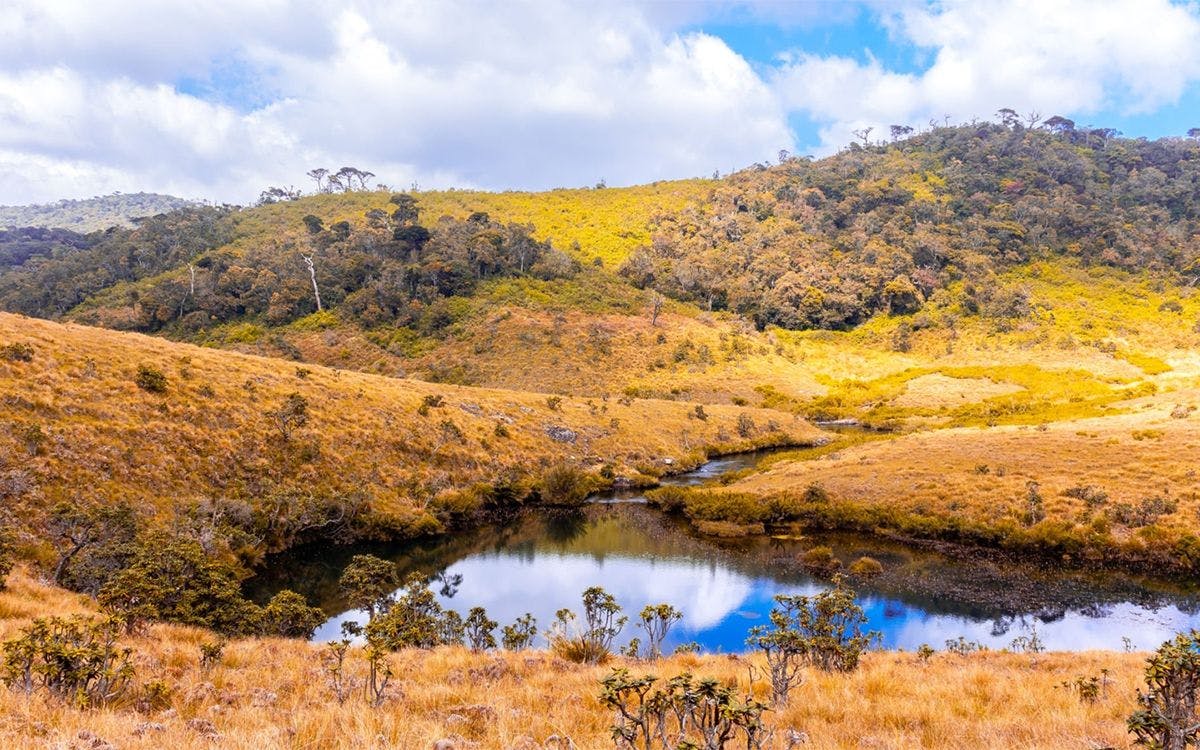 mysteries-of-horton-plains