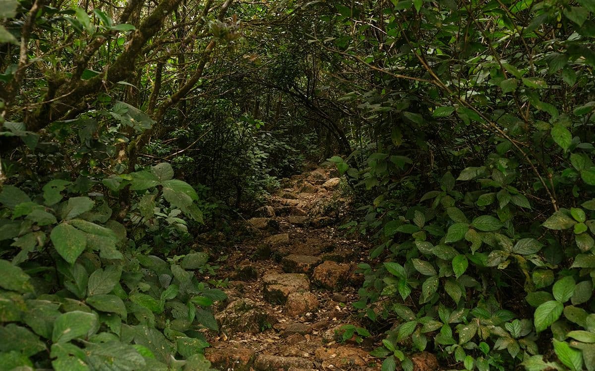 The W15 Collection recap: A look back at 2022