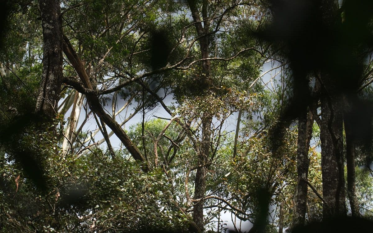 Galway's Land National Park