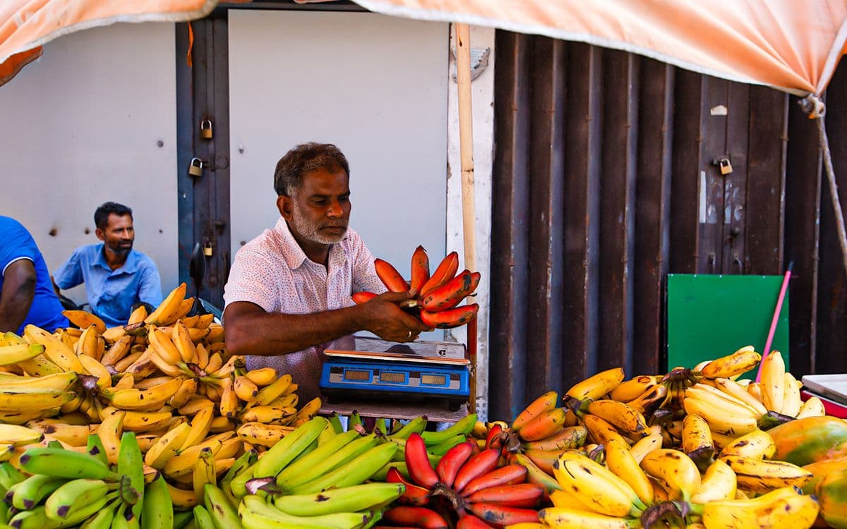 Coming Soon: Headquarters by W15