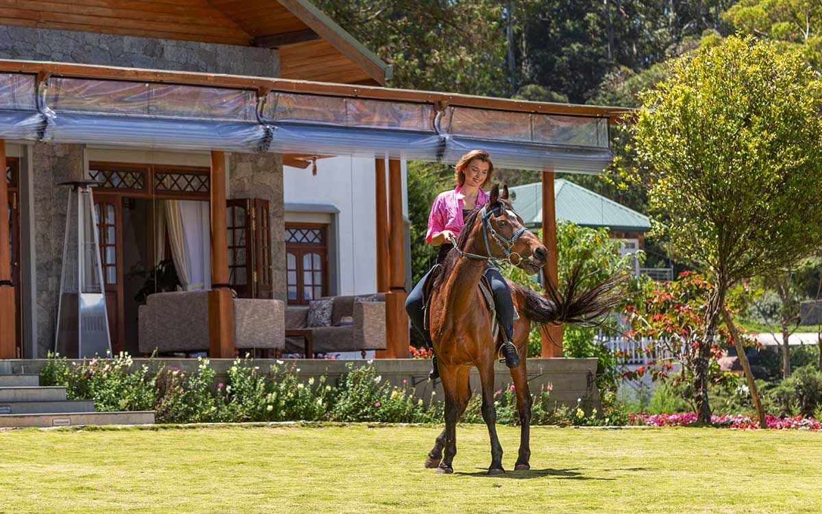 Explore Nuwara Eliya and Best Places to Visit at Nuwara Eliya